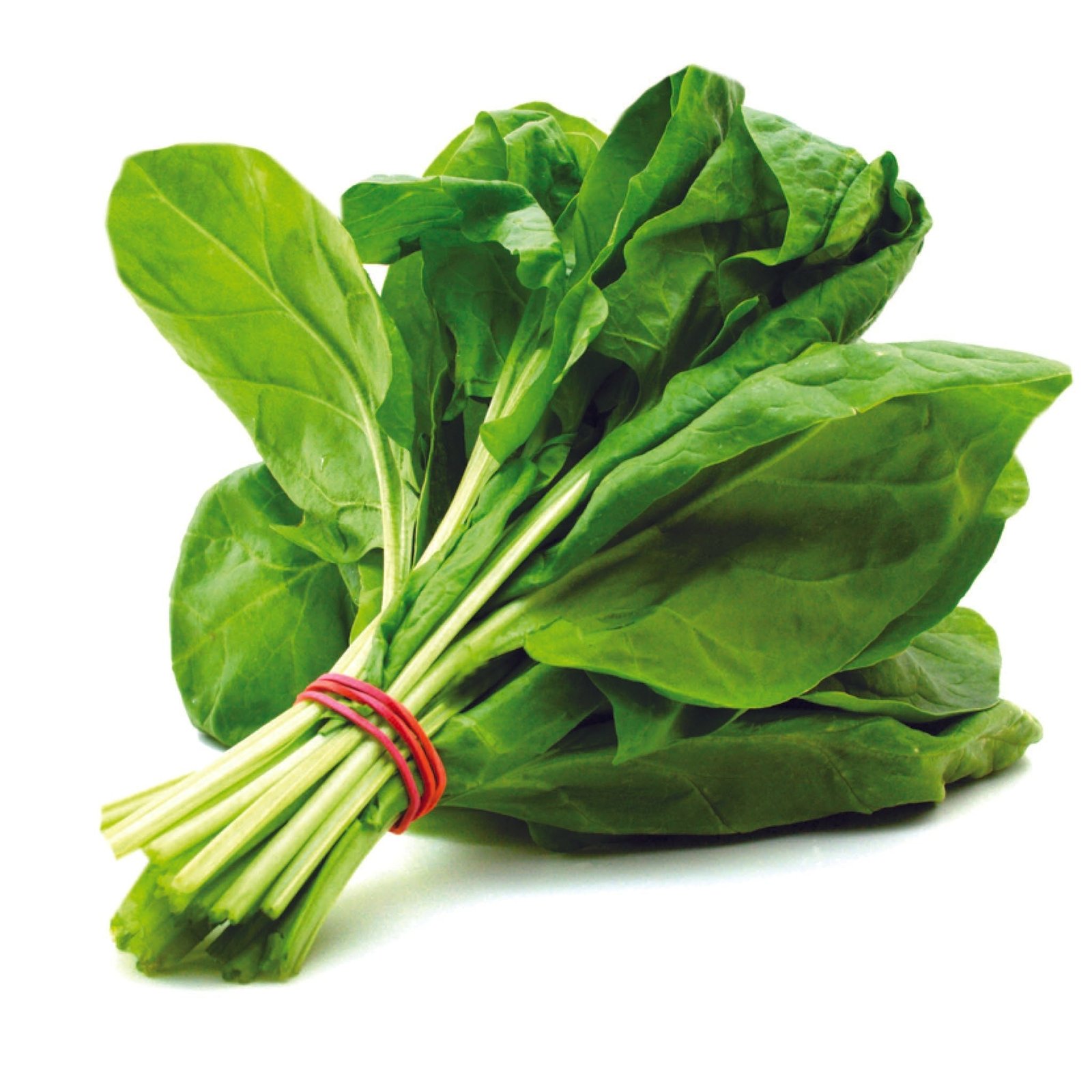 Spinach -पालक