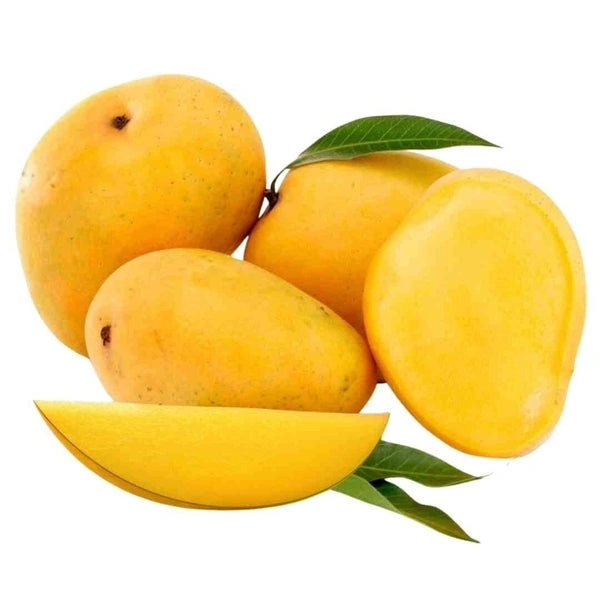 Badami Mango - आम