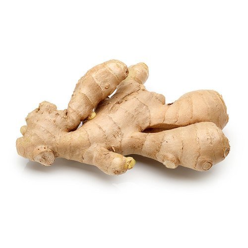 Old Ginger