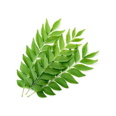 Curry leaves/कड़ी पता