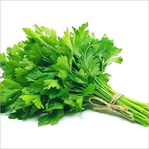 Coriander leave/ हरा धनिया