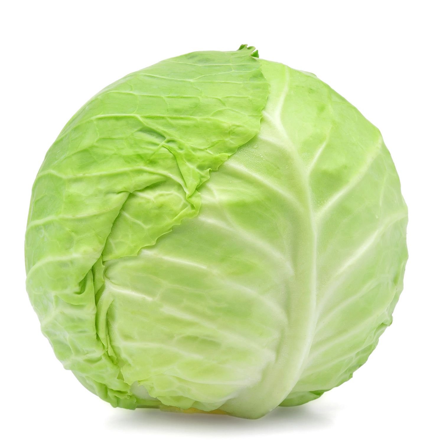 Cabbage/ पता गोभी